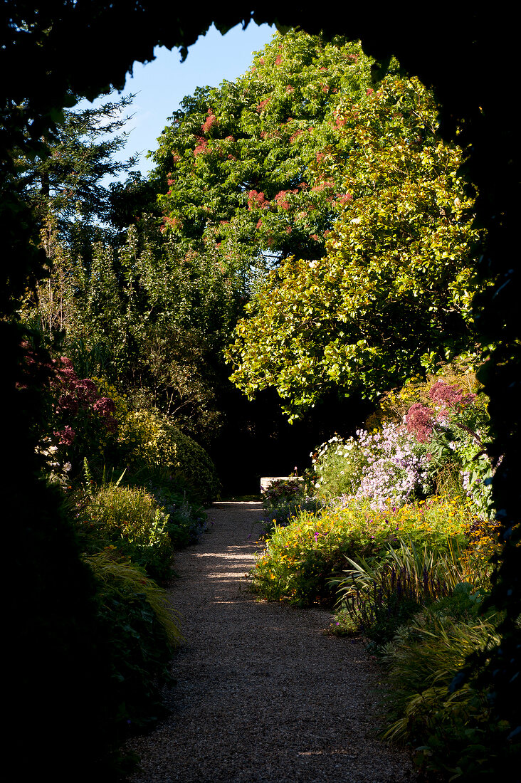 View of trees and dirt path through Mount Usher Garden in Ashford, Ireland
