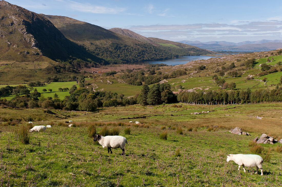 View of lake and landscape from Beara Peninsula mountain, Ireland, UK