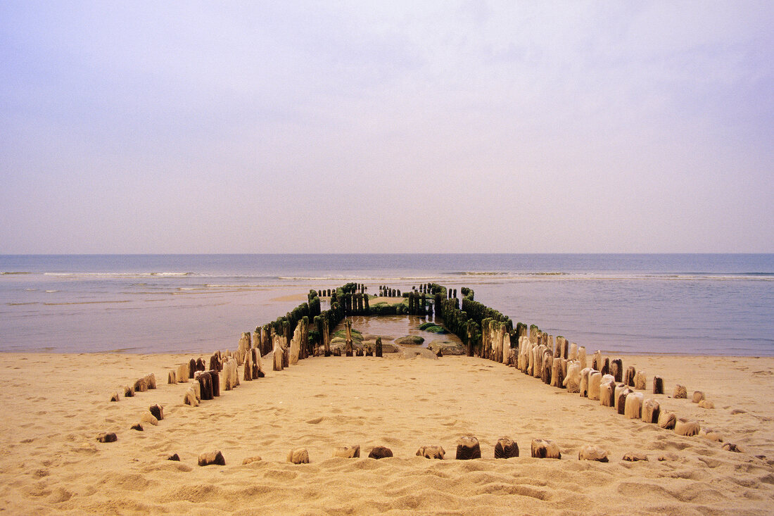 Sylt, Strand, Buhne an der Nordwestküste bei List