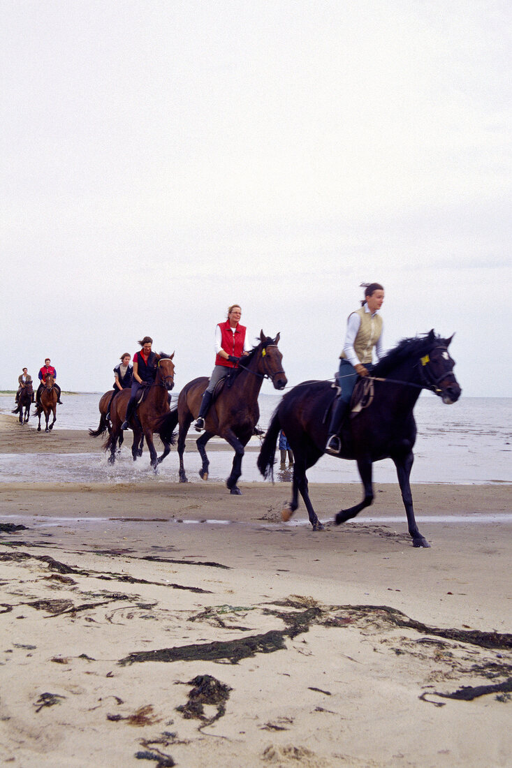 People riding horse on beach in Westerland, Munkmarsch, Sylt, Germany