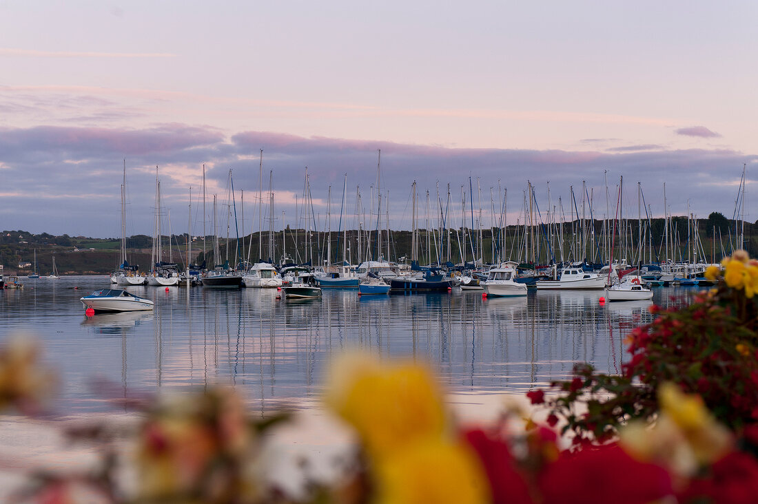 View of sailboats moored at Kinsale harbour at sunset, Ireland, UK