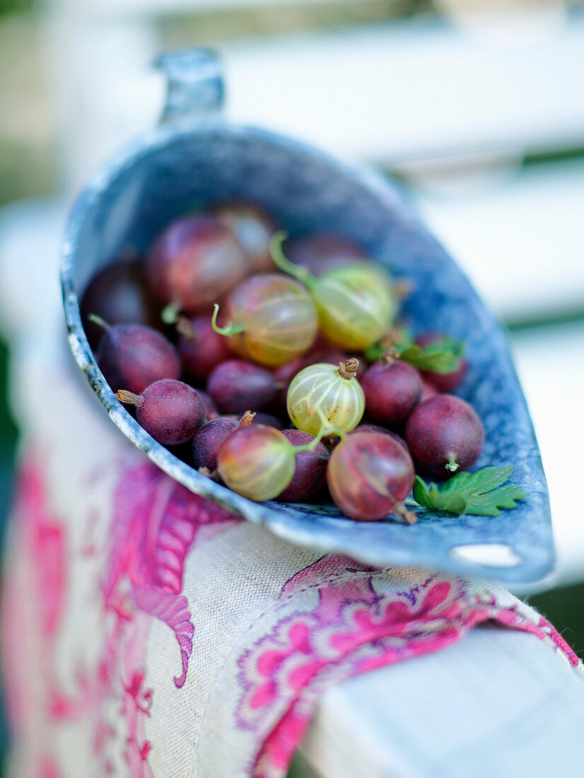 Close-up of gooseberries in bowl