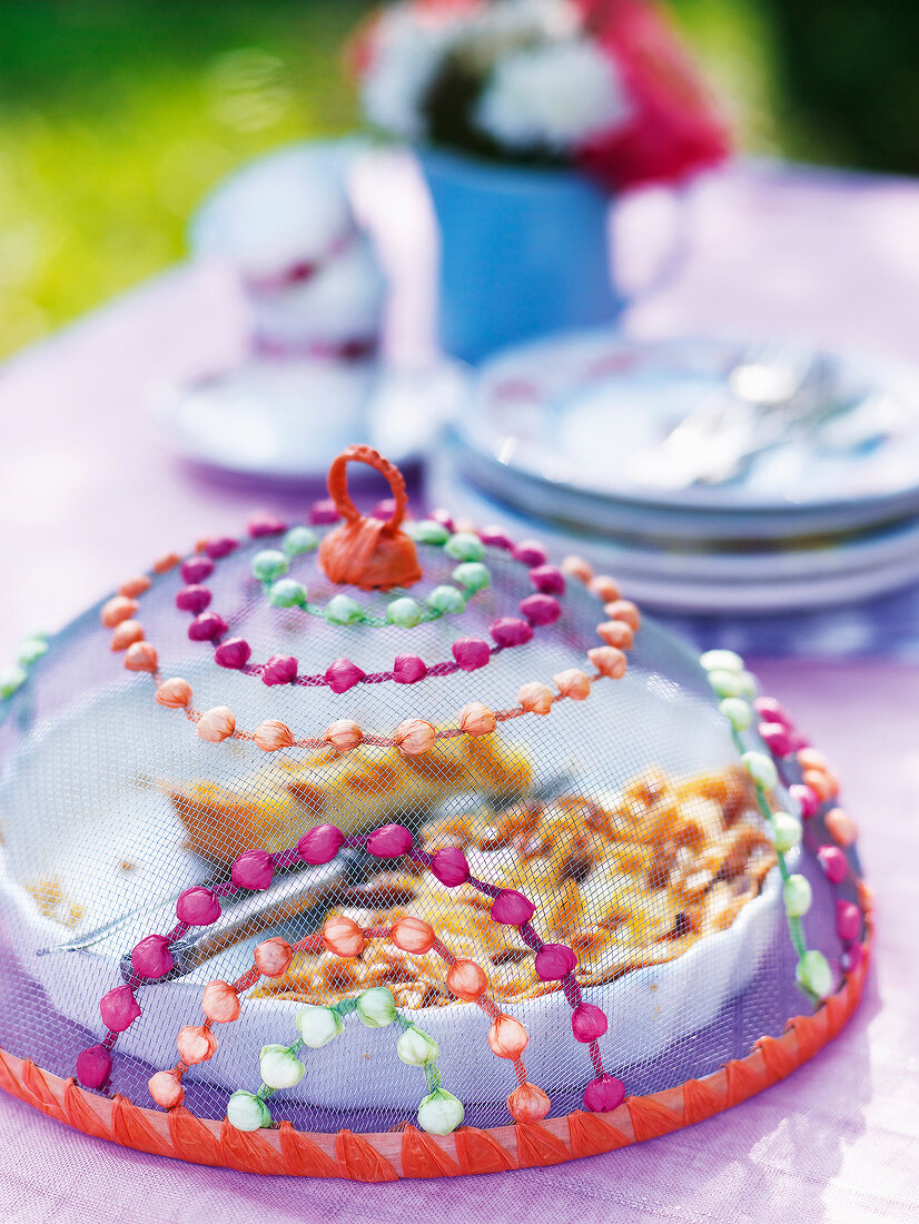 Apricot tart with food covering on table in summer kitchen