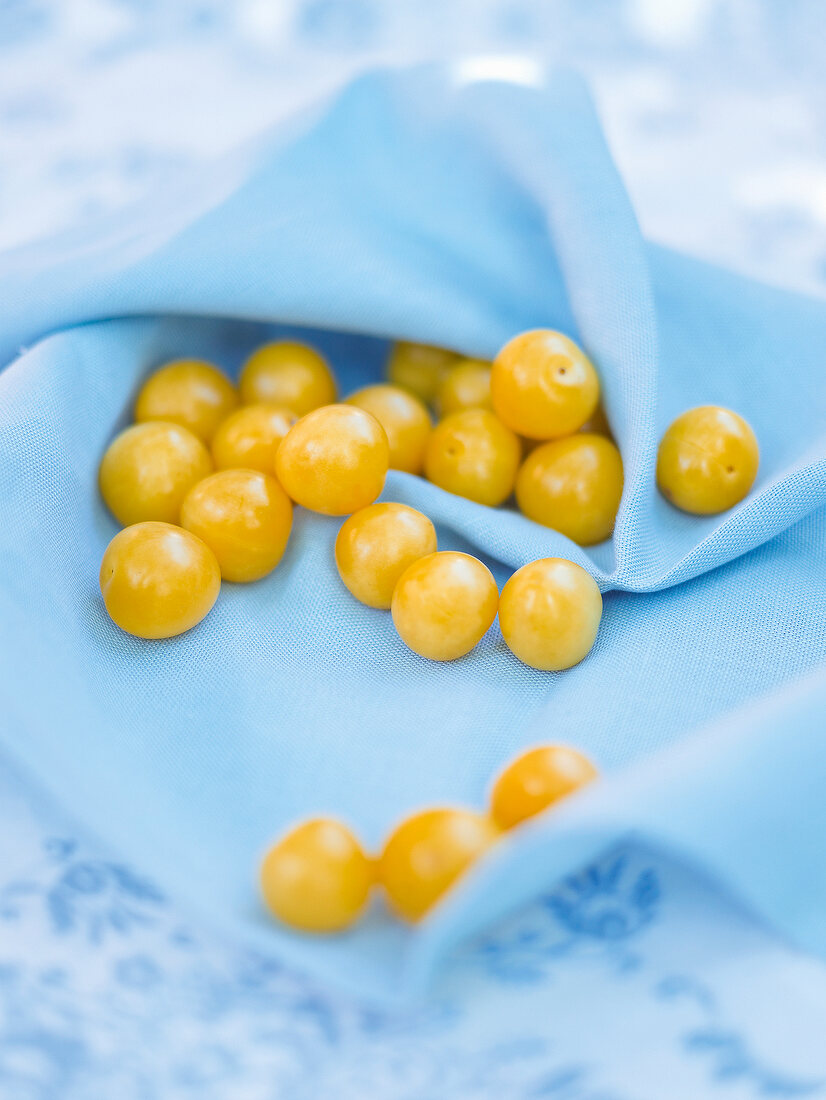 Close-up of yellow tomatoes in blue cloth