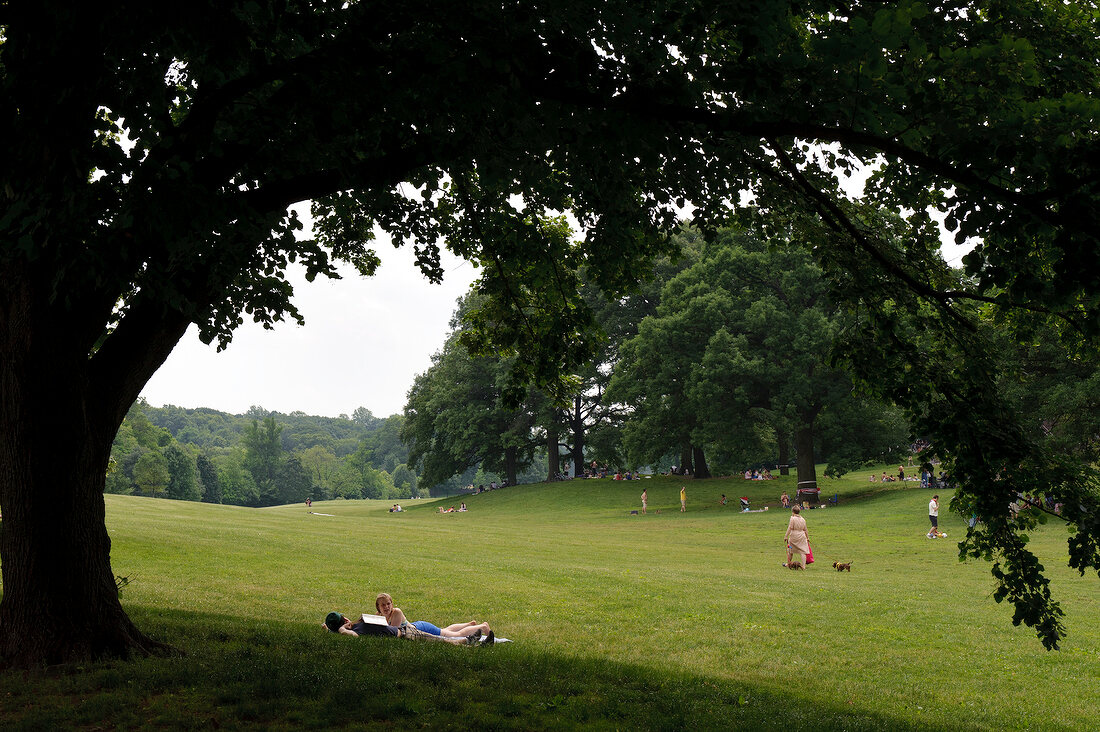 People relaxing and enjoying in park at New York, USA
