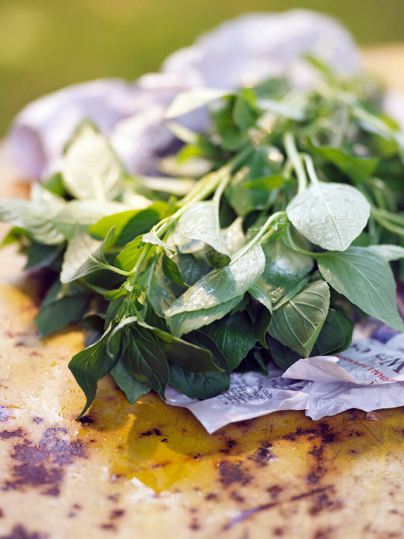 Close-up of fresh washed basil leaves on paper