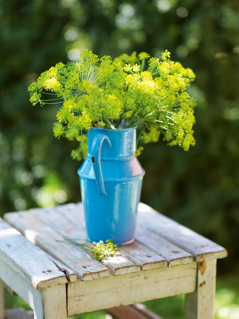 Sommerküche, Dillblüten in einem blauen Krug