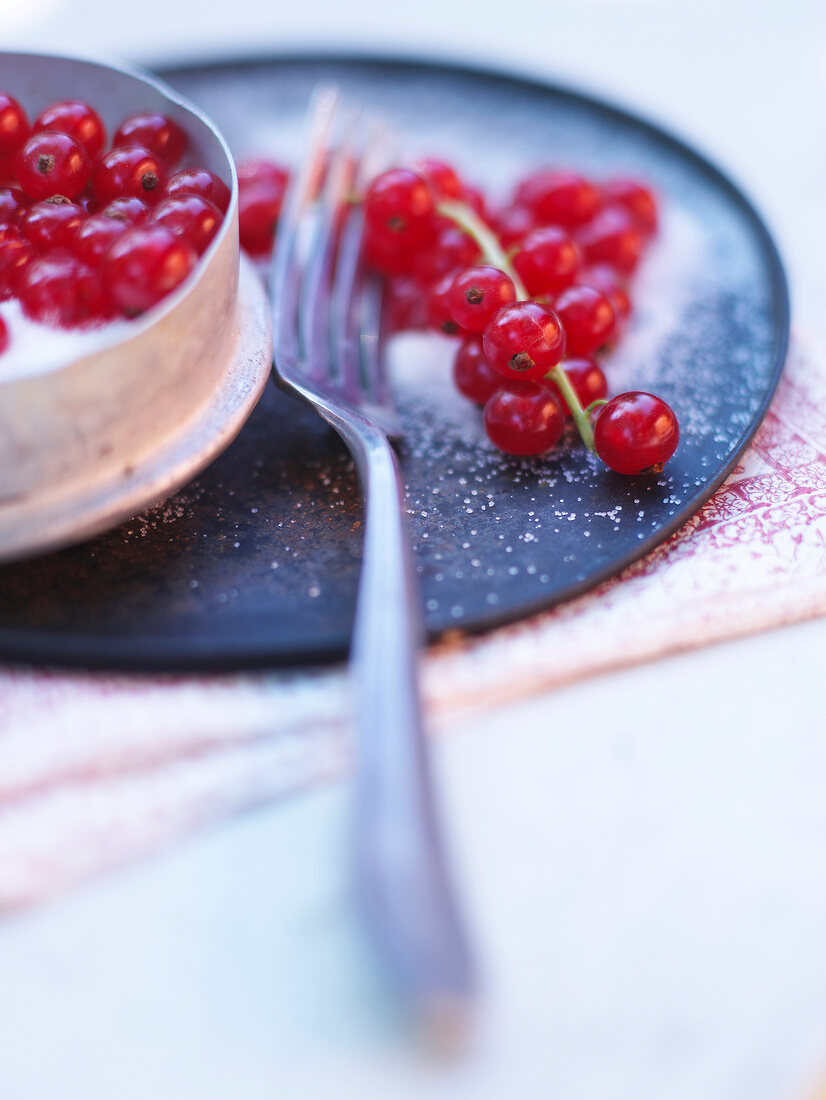 Close up of red currants with fork