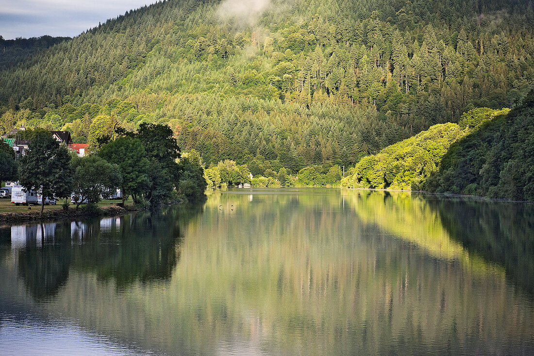 Neckargemünd: Berglandschaft grün, Neckar, idyllisch