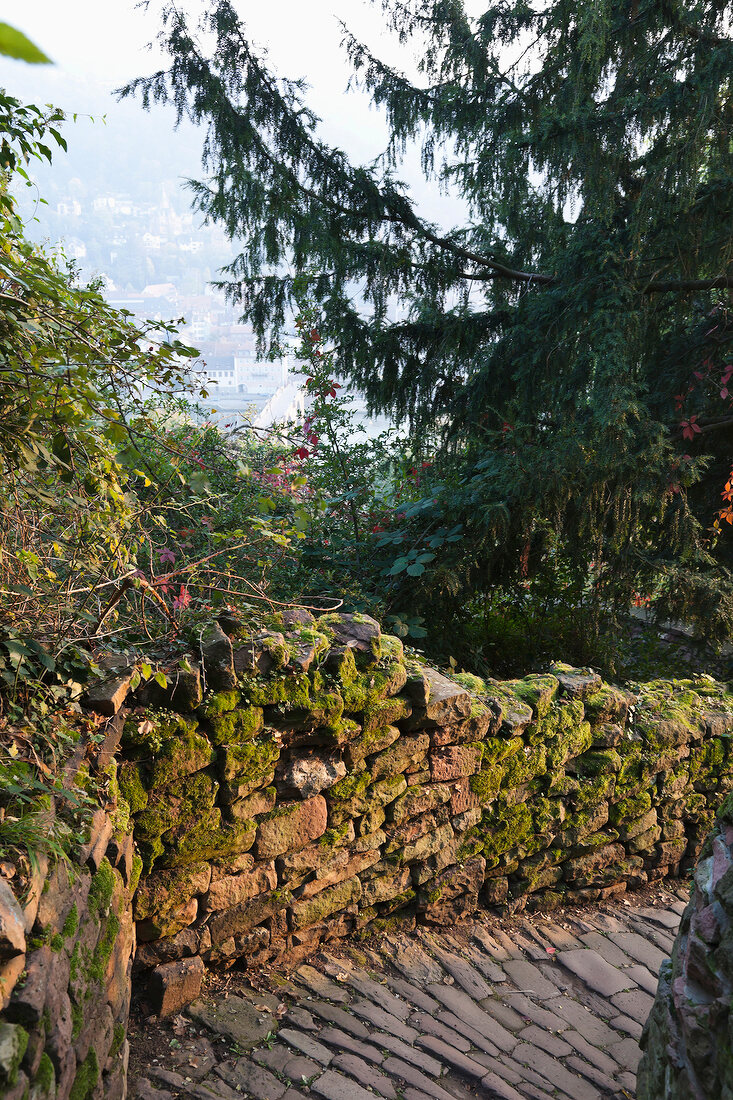 Stone pavement with mossy wall at Heidelberg, Germany