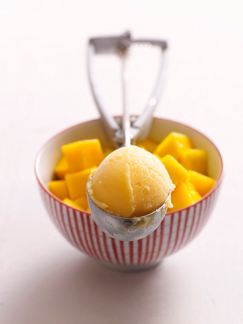 Mango-Orangensorbet mit frischen Mangowürfeln