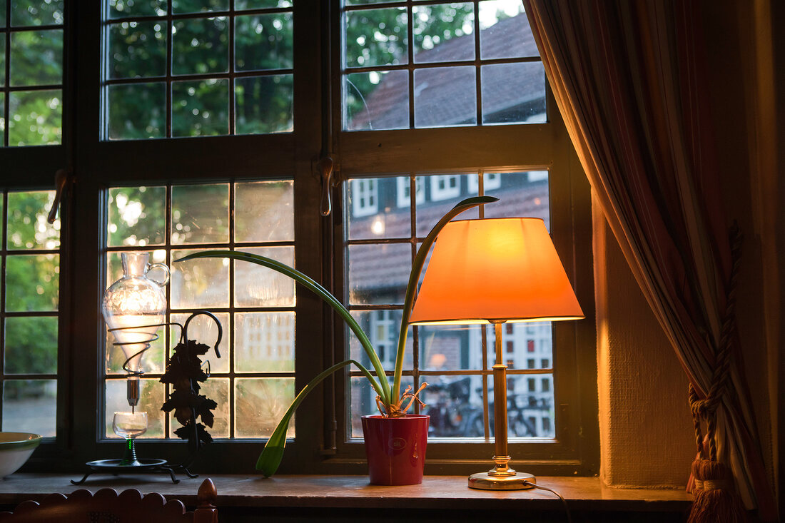 Illuminated lamp and potted plant at the window pane