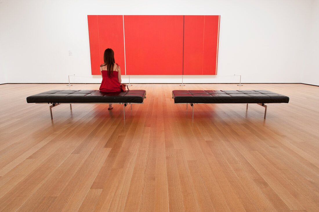 New York: Rotes Bild, Museum of Modern Art