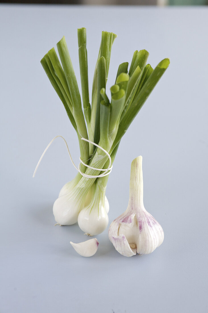 Spring onions and garlic on white background