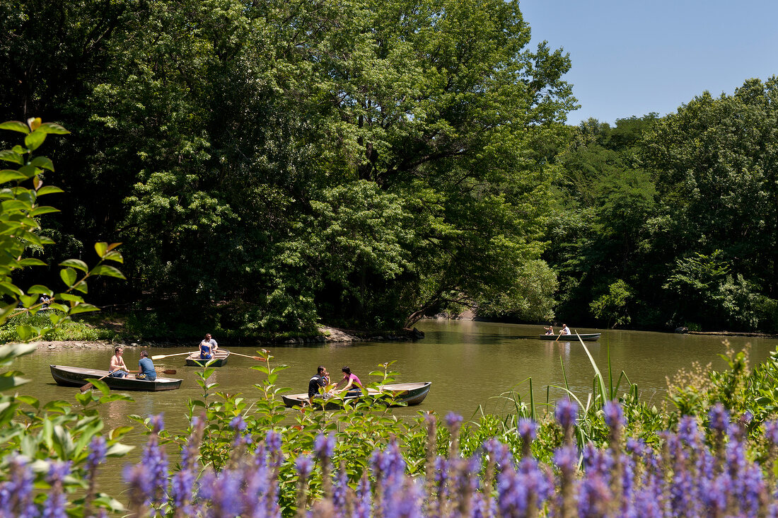 People rowing boats in pond at Central Park, New York, USA