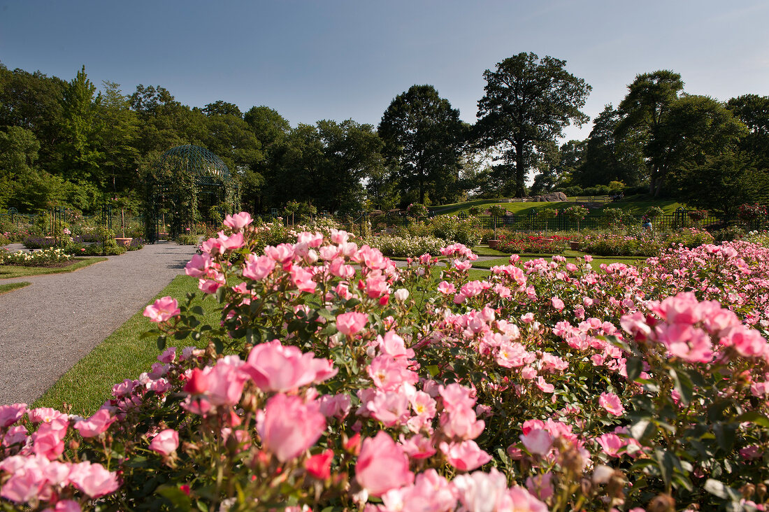 View of New York Botanical Garden in New York, USA