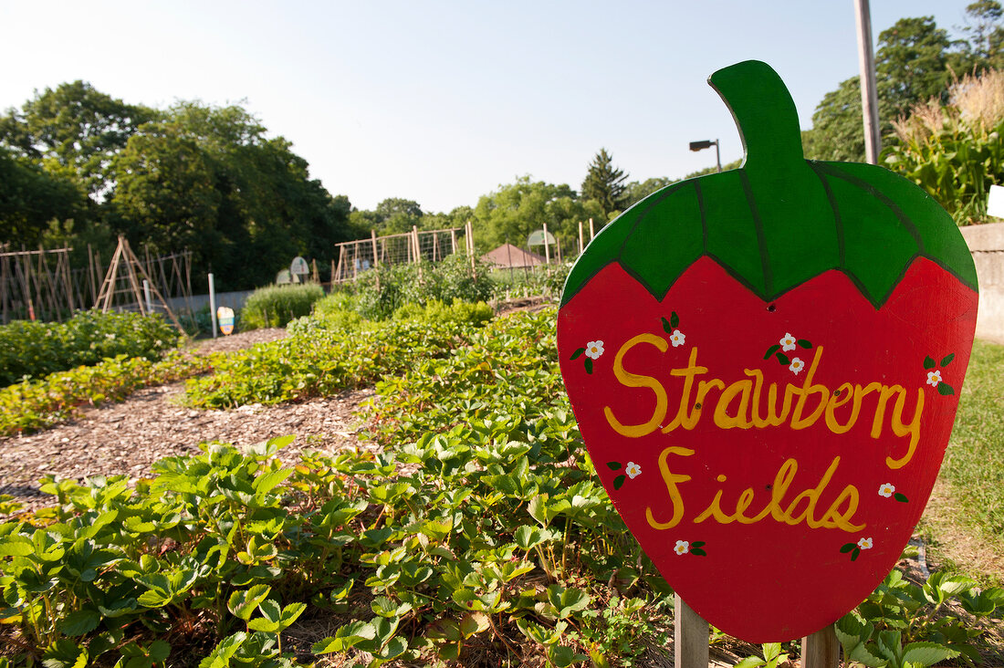 View of Strawberry Fields with signboard in New York Botanical Garden, New York, USA