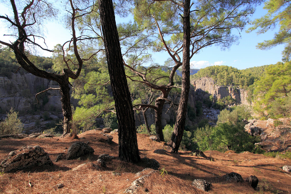 View of landscape at Koprulu National Park, turkey