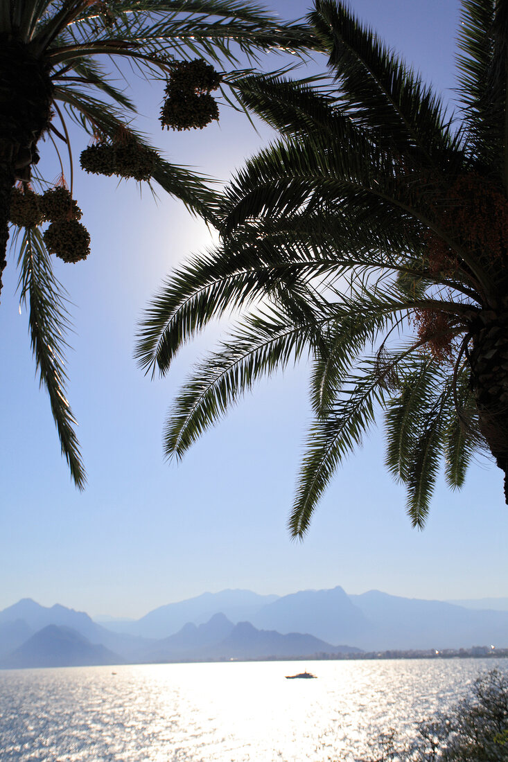 View of mountain range and palm trees in Antalya, Turkey