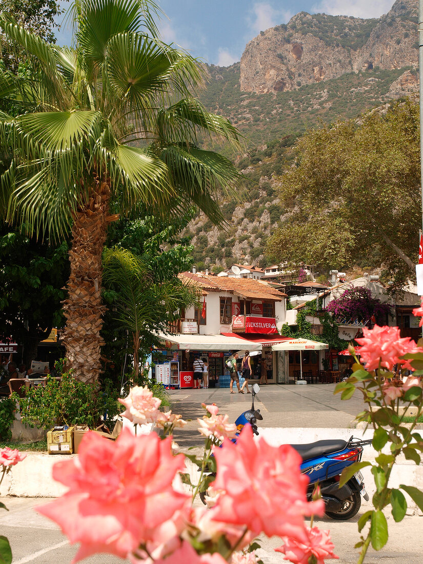 View of shops, houses and pink flowers in Kas, Lycia, Antalya, Turkey