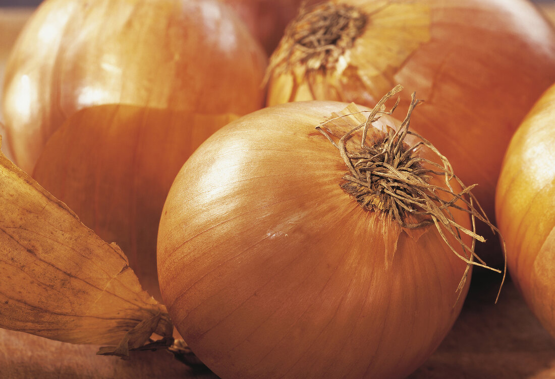 Close-up of onions