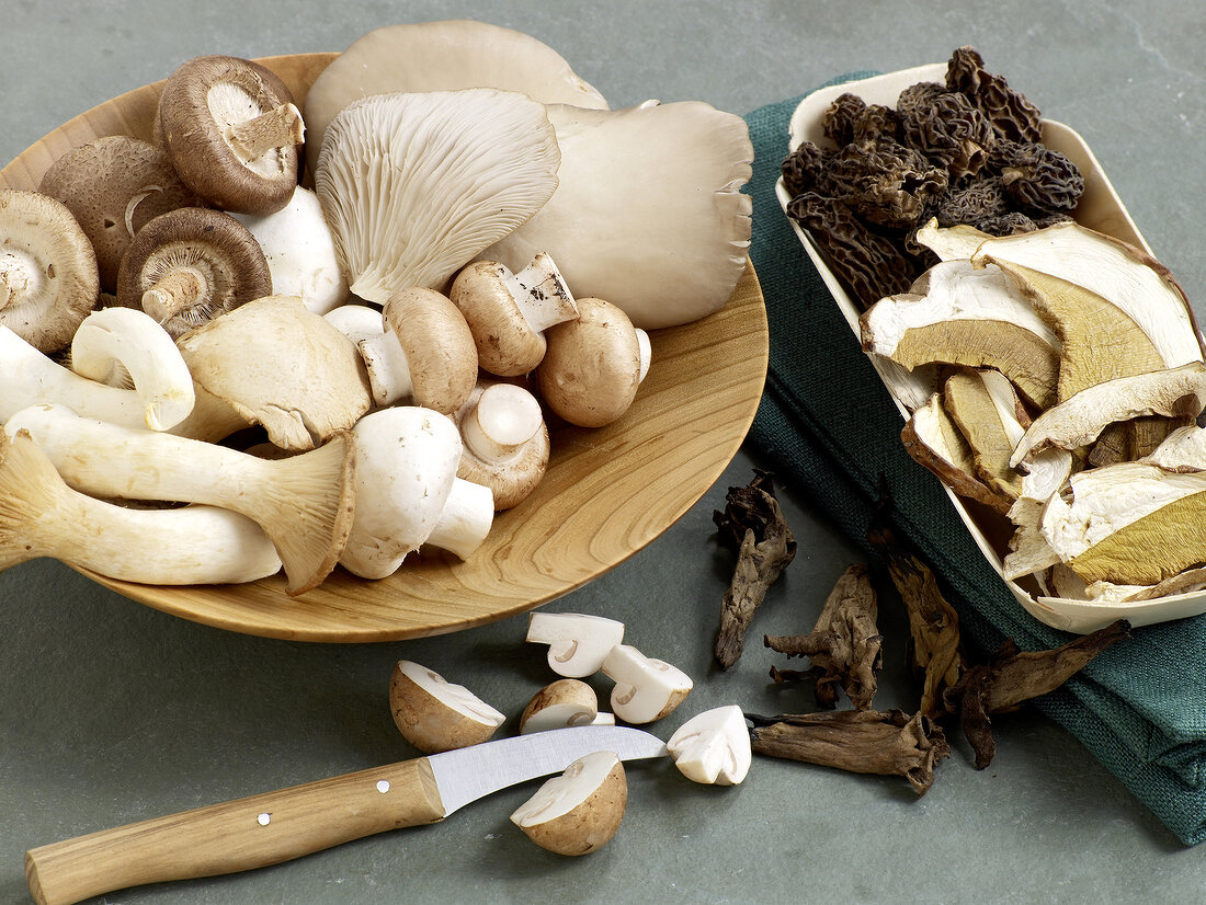 Various types of dried mushrooms in wooden bowl