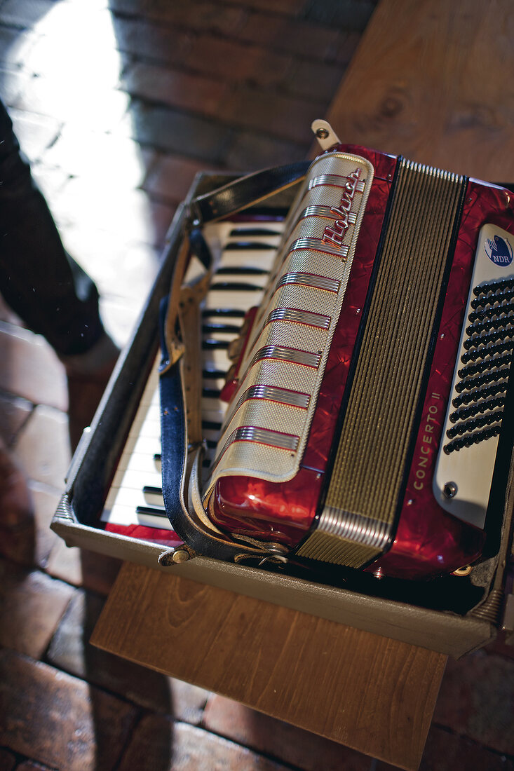 Close-up of accordion