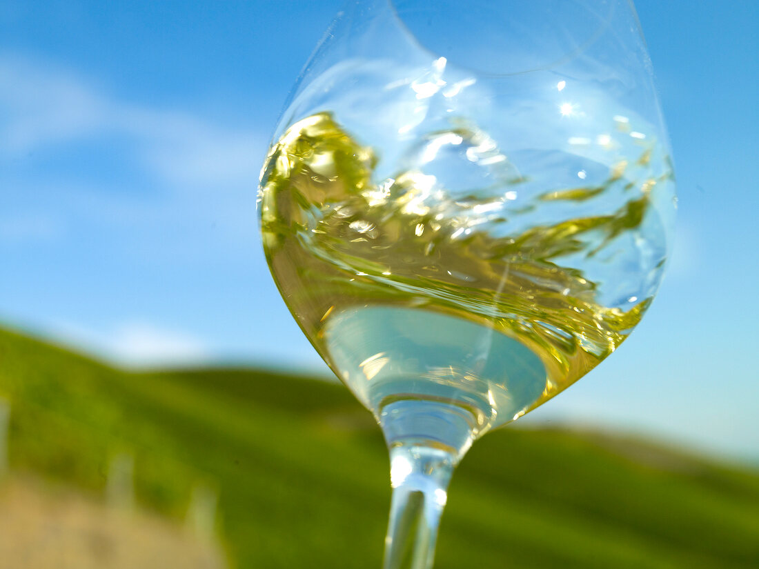 Close-up of white wine in glass with sky in background