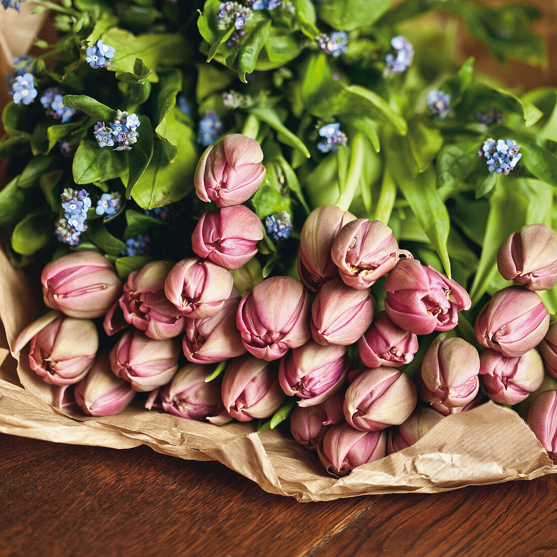 Close-up of tulips on brown paper