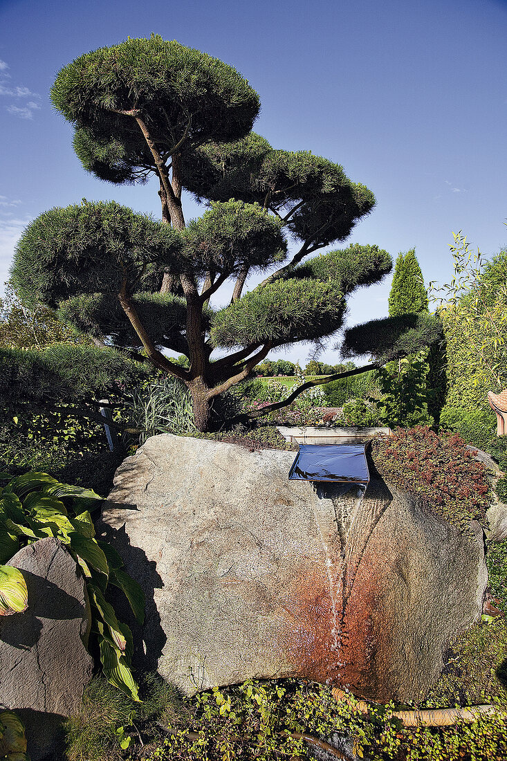 View of garden in Japan