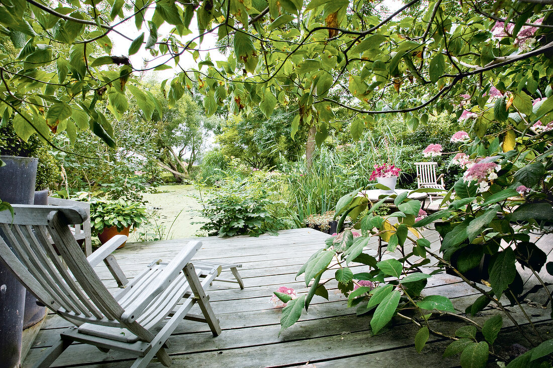 Ostseeküste: Sprangsrade, Ascheberg, Garten, Terrasse