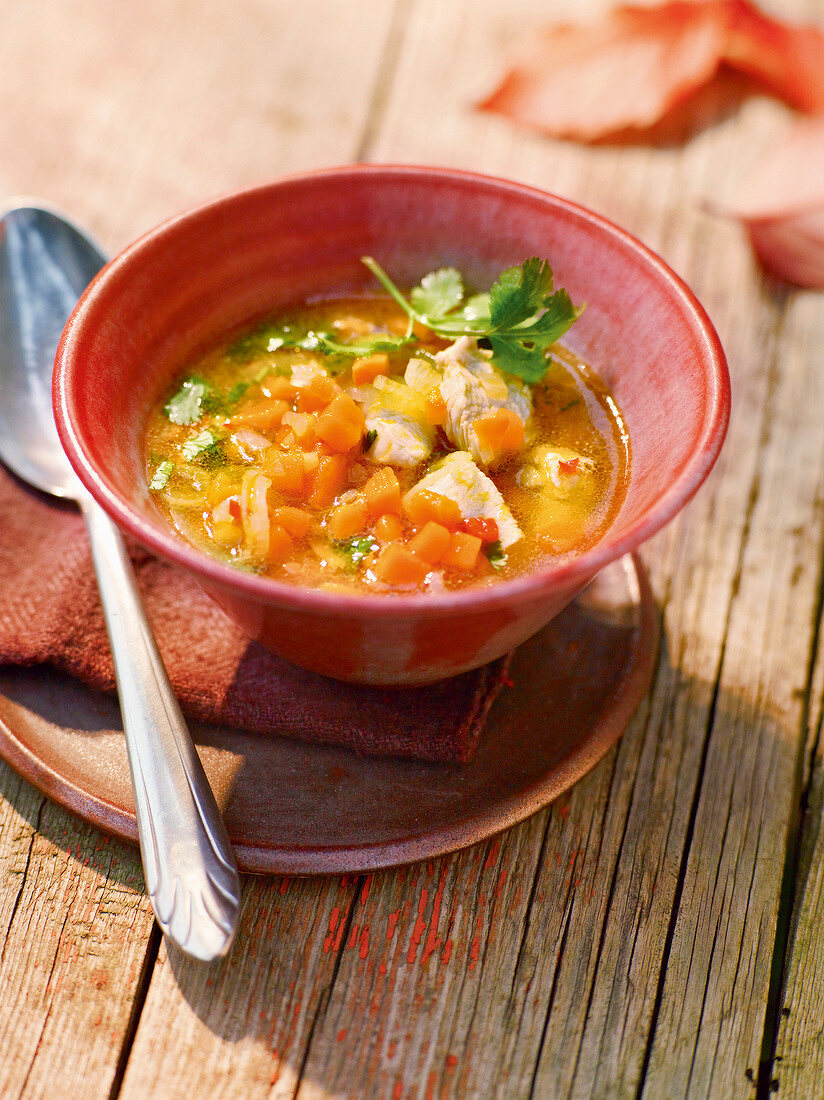 Chicken soup with pumpkin in bowl