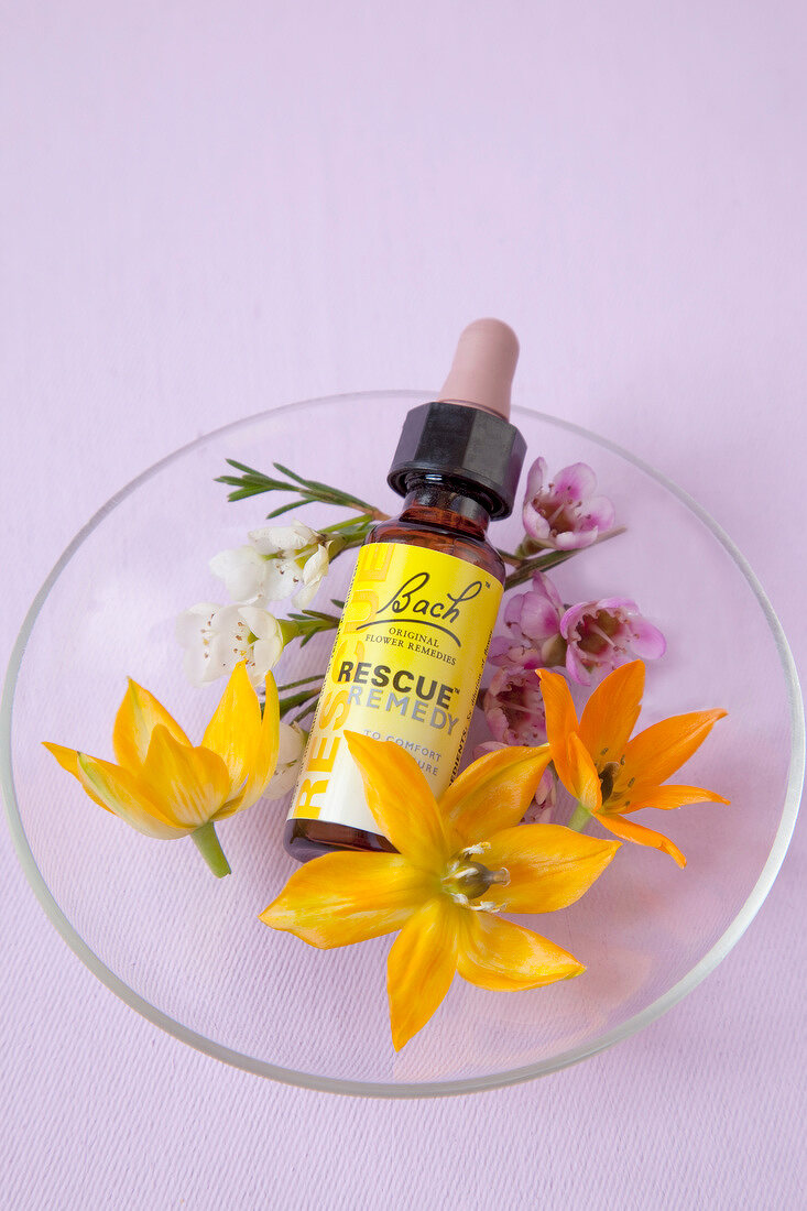 Bottle of Bach Rescue Remedy and bach flowers on glass plate, overhead view