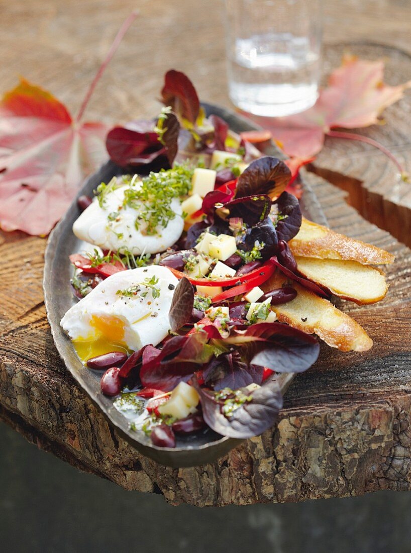 Oak leaf lettuce with a poached egg, Alpine cheese, kidney beans and bread