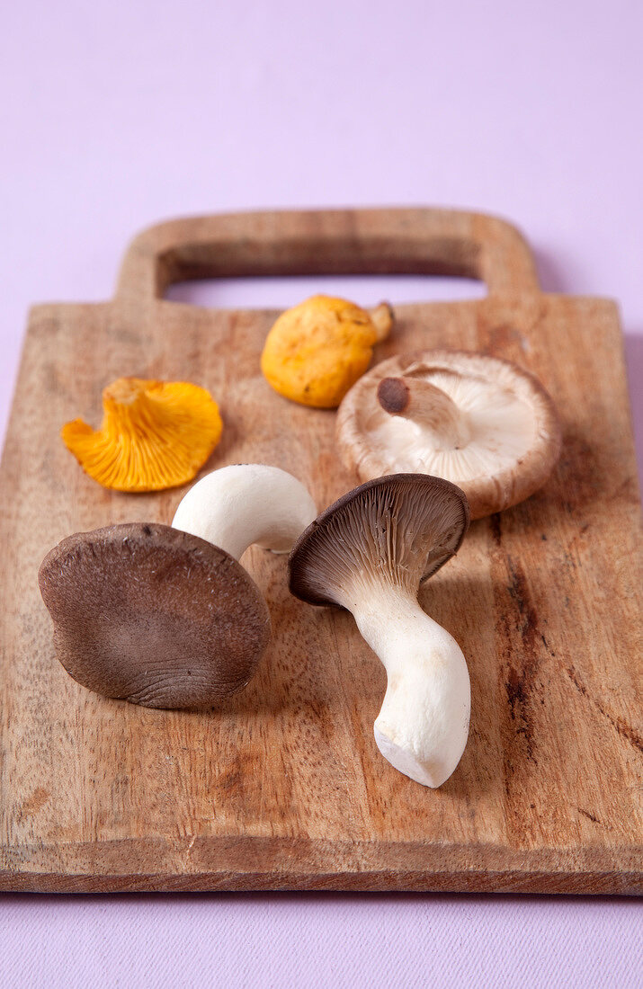 Variety of mushroom on wooden board on pink background