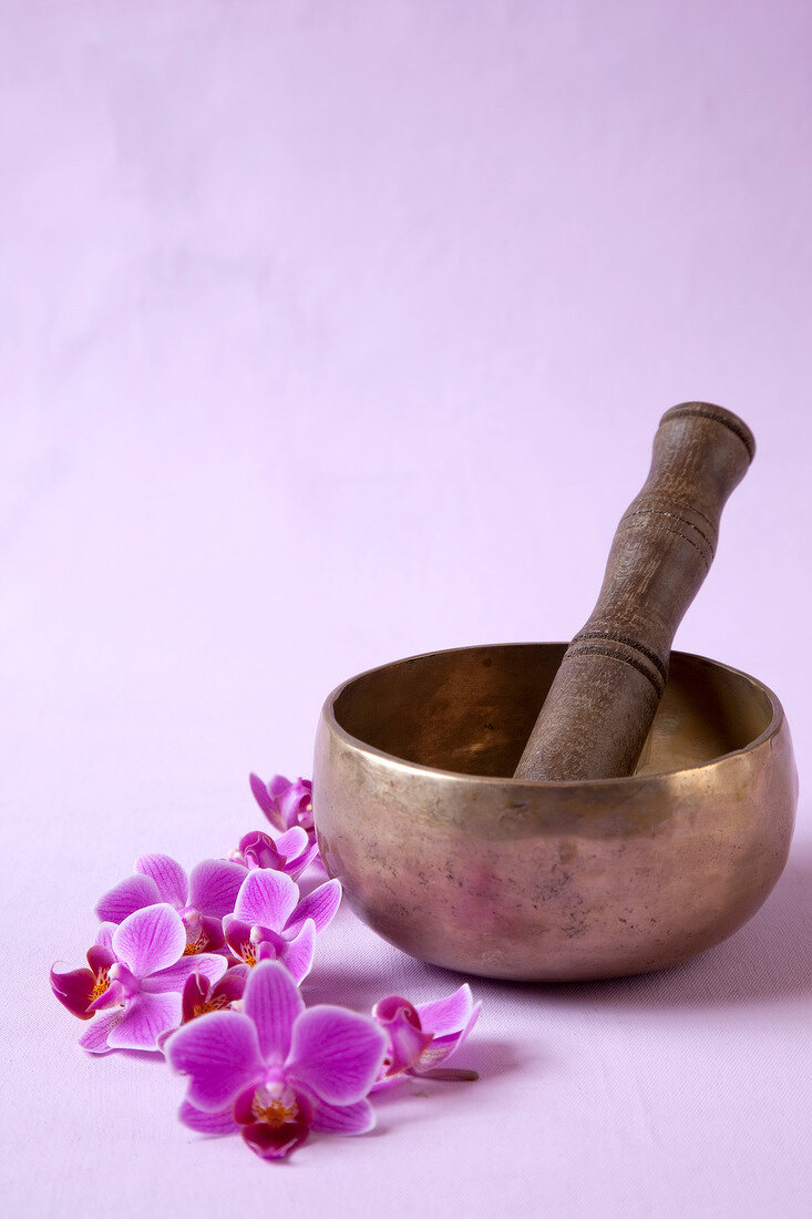 Close-up of mortar and pestle with flowers around on pink background