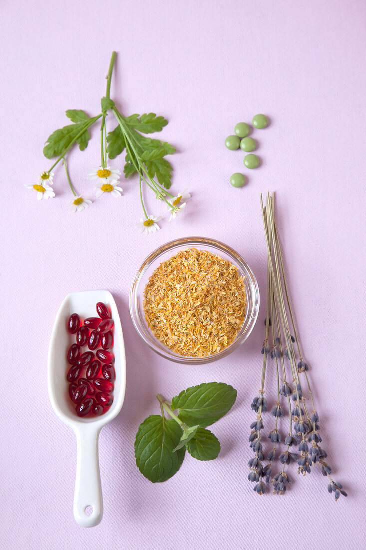 Phytotherapy - Lavender, chamomile flowers, pills and mint on purple background