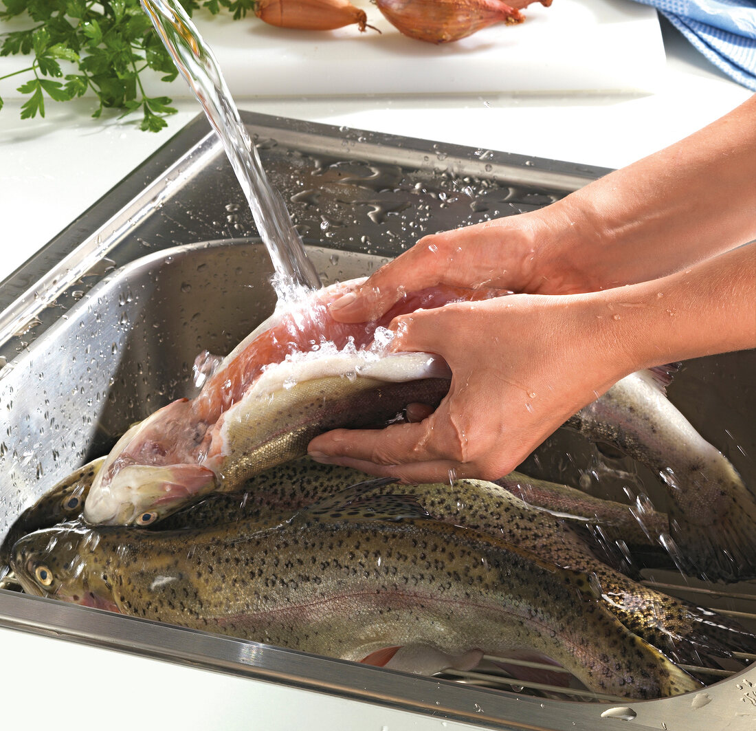 Close-up of hand washing trout in basin