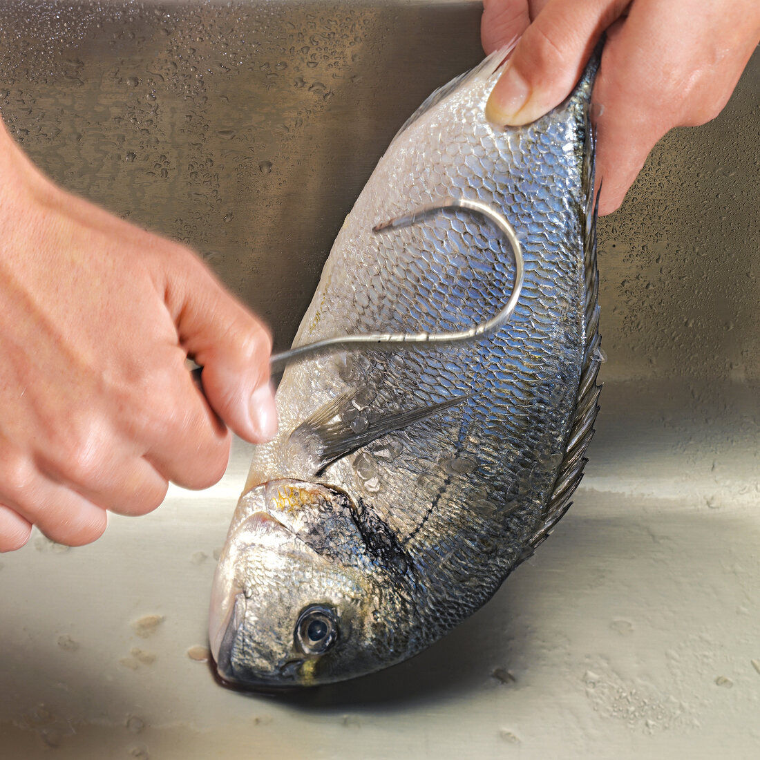 Close-up of hand descaling fish