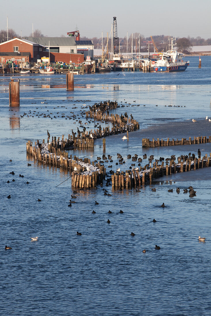 View of Kappeln sea with fence in winter, Germany