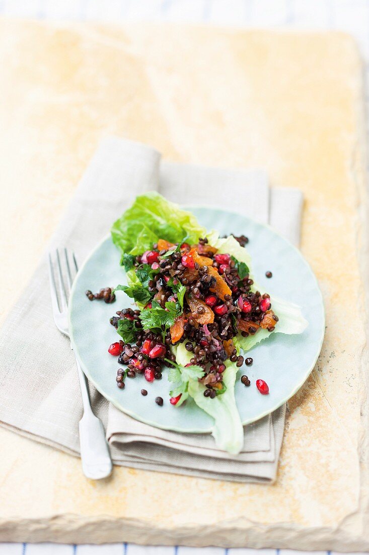Lentil salad with dried apricots, olives and pomegranate seeds