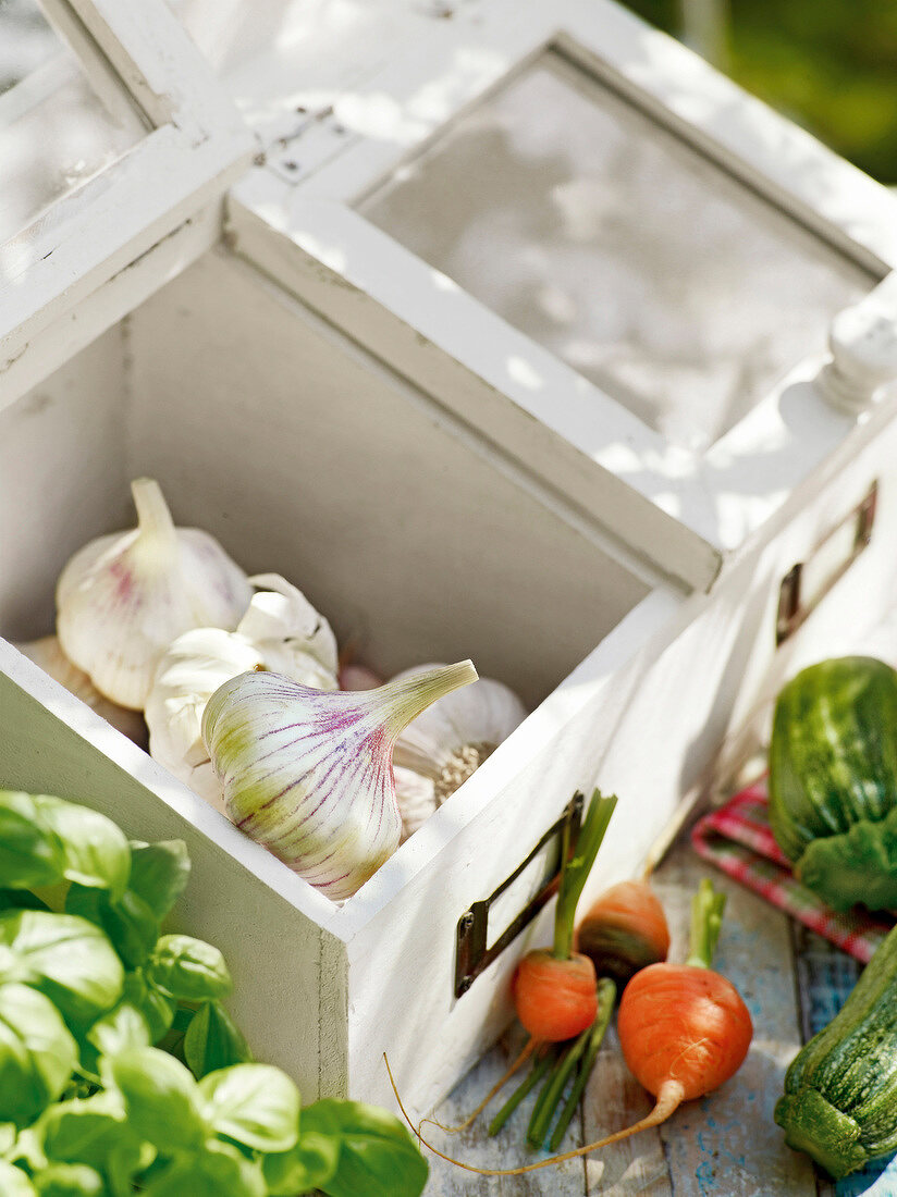 Garlic bulbs in wooden box, garden kitchen