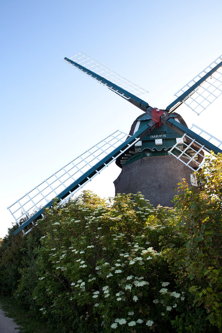 Geltinger Birk windmill Charlotte at Baltic Sea Coast, Fehmarn, Germany