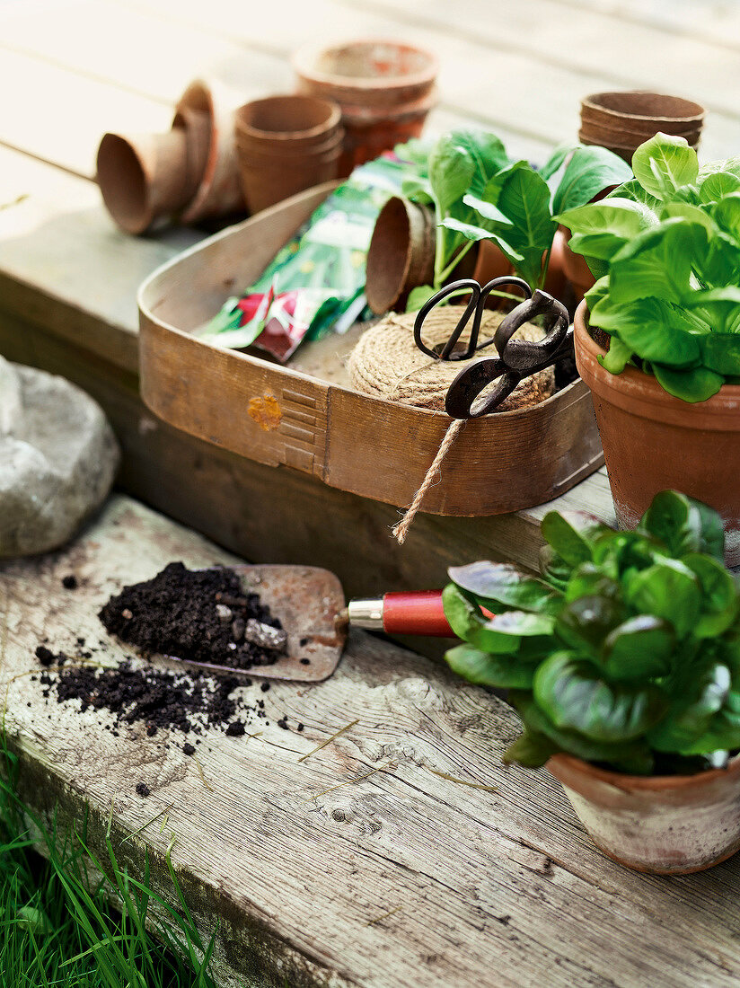 Gartenküche, Utensilien zum Bepflanzen von Töpfen