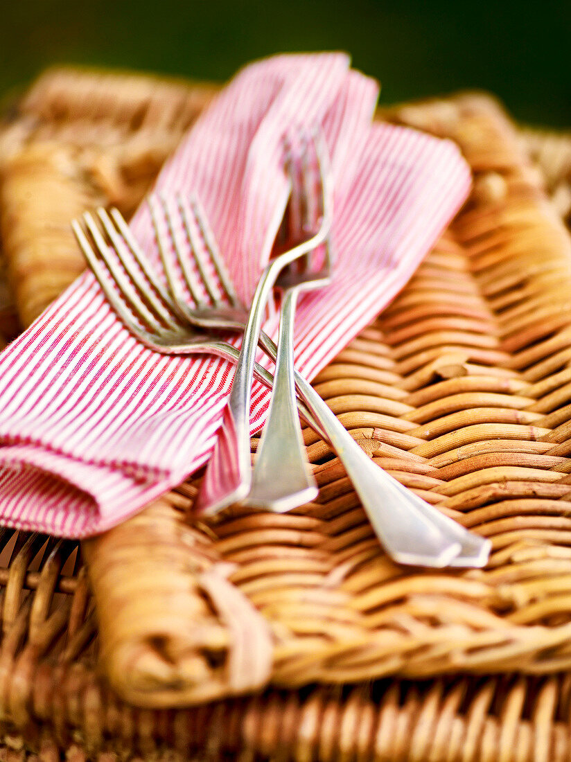 Close-up of forks with striped napkin on picnic basket, garden kitchen