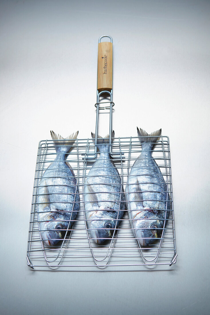 Grill grid with three fishes