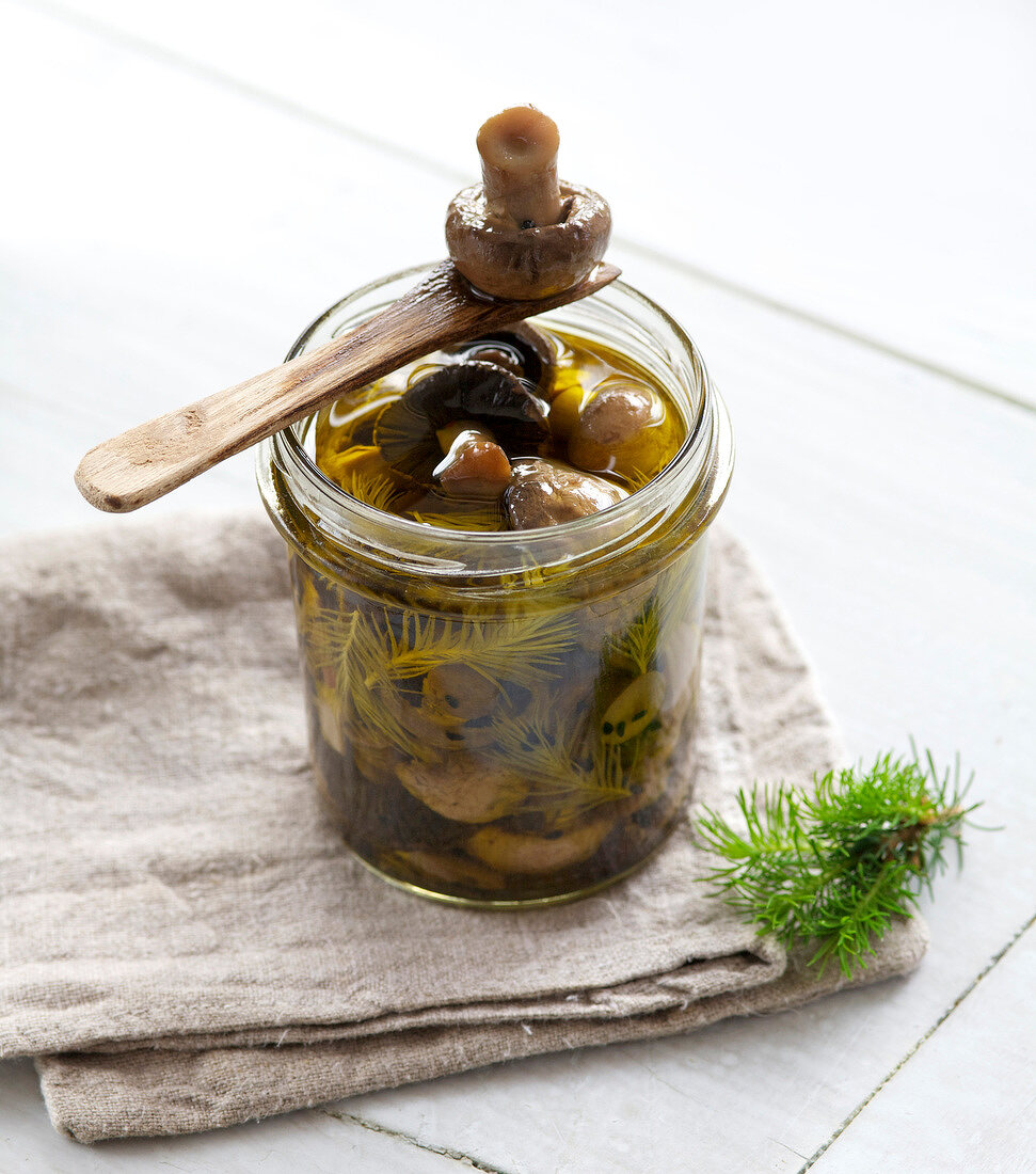 Glass jar with mushrooms and spruce tips in olive oil