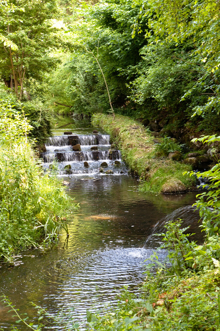 Natural waterfall in Schleswig-Holstein, Germany