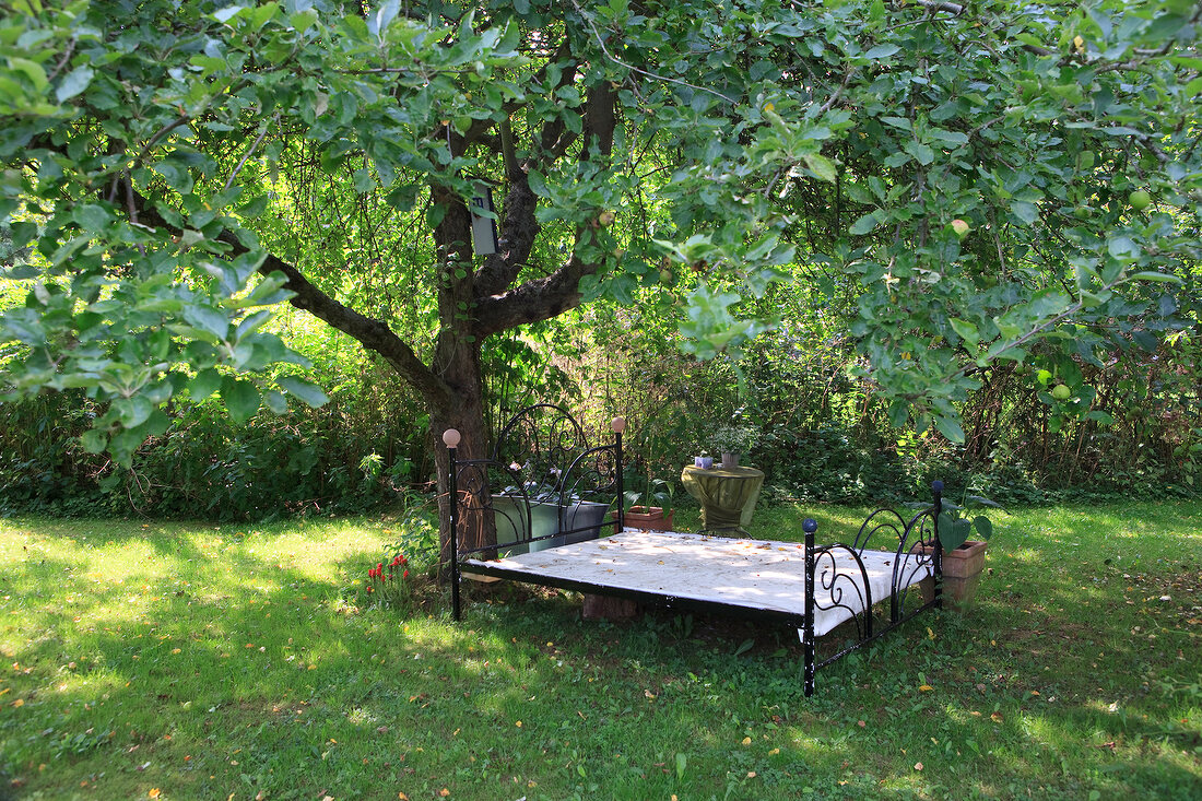 Empty iron bed under tree in garden at Baltic coast, Schleswig-Holstein