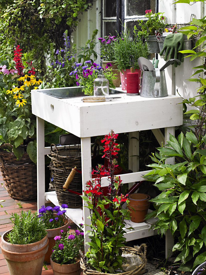 Plant table and wooden farm folklore with zinc pool